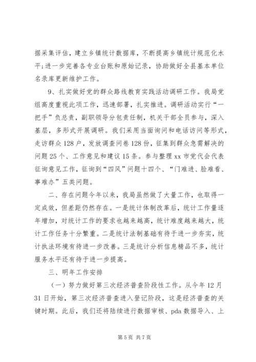 统计局年度工作总结及明年工作安排.docx