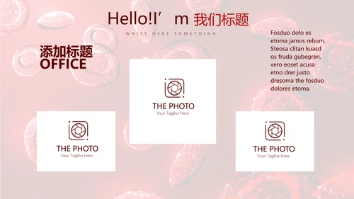 红细胞血小板动态PPT