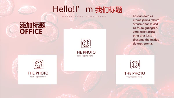红细胞血小板动态PPT