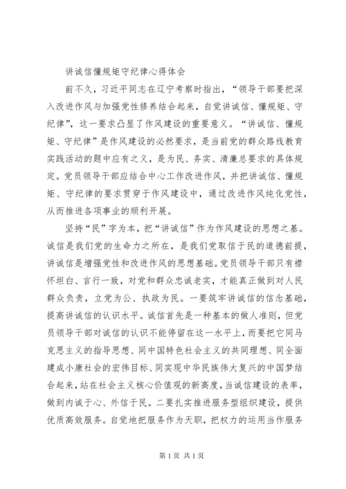 讲政治守纪律懂规矩心得体会 (2).docx