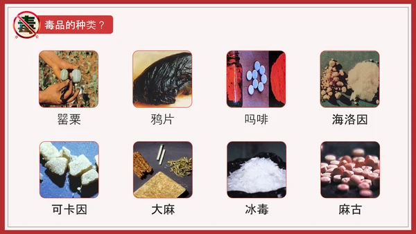远离犯罪青少年禁毒宣言教育PPT课件