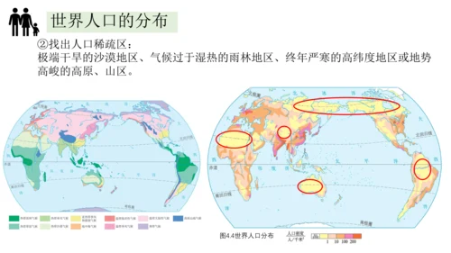 4.1人口与人种-2023-2024学年七年级地理上册同步优质课件（人教版）（共30张PPT）