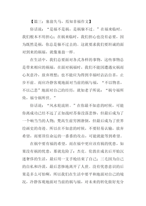 塞翁失马焉知非福作文.docx
