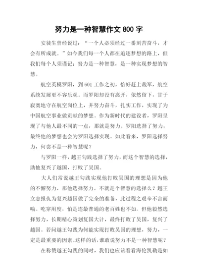 努力是一种智慧作文800字.docx