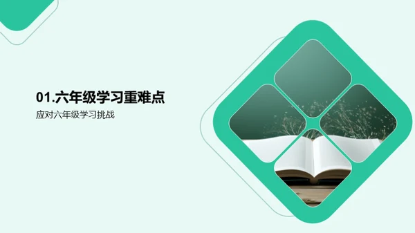 筑梦初中：自主学习之路