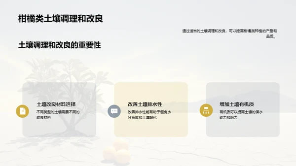 柑橘栽培的科技革新