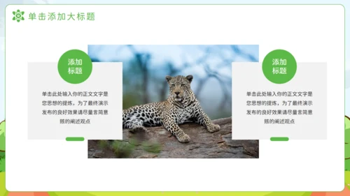 猎豹动物知识普及通用PPT模板