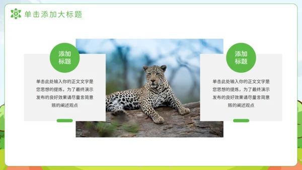 猎豹动物知识普及通用PPT模板