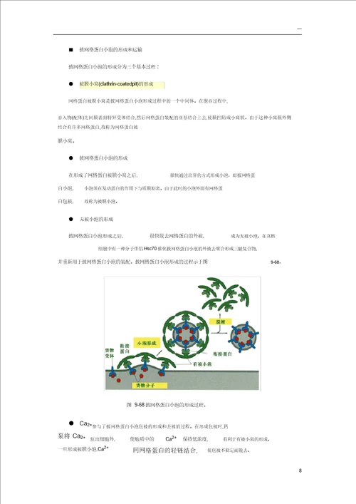 细胞生物学小泡运输分子机理