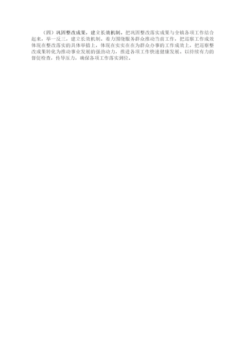 关于县委巡察组巡察反馈意见整改落实情况报告（镇乡）.docx