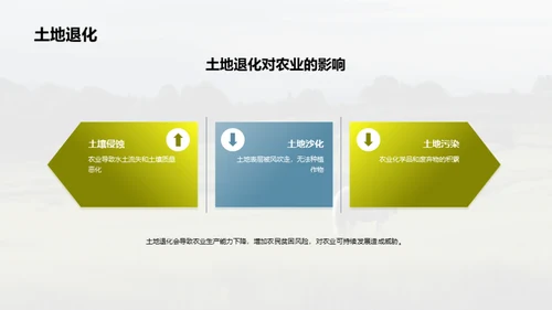 简约风农林牧渔总结汇报PPT模板