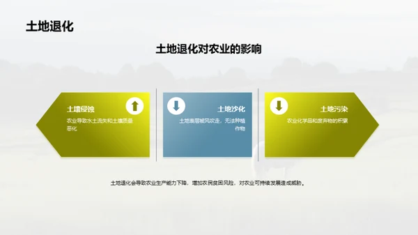 简约风农林牧渔总结汇报PPT模板