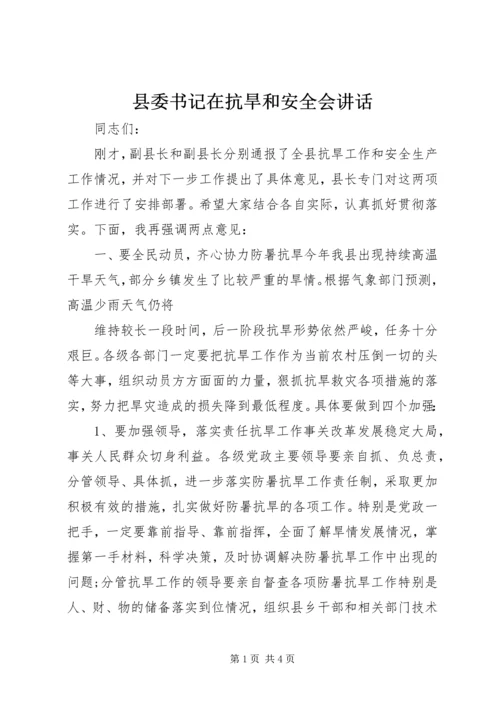 县委书记在抗旱和安全会讲话 (2).docx