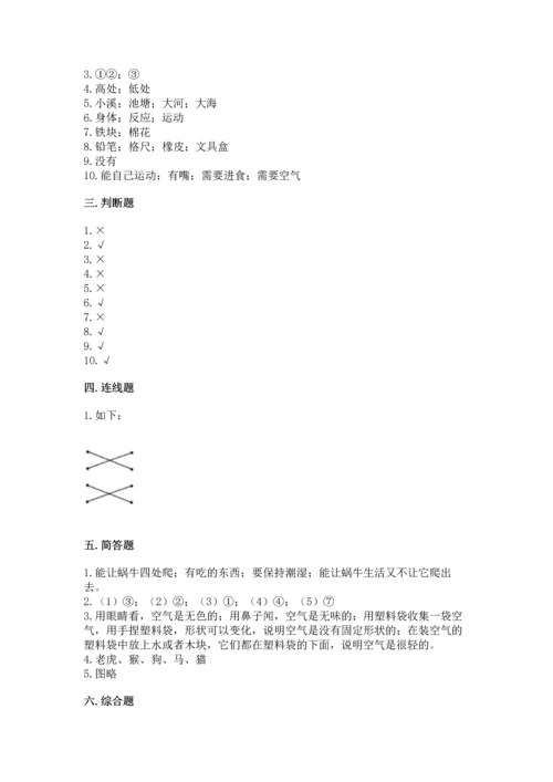 教科版一年级下册科学期末测试卷精品（有一套）.docx