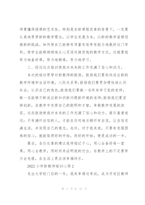 2022小学新教师培训心得.docx