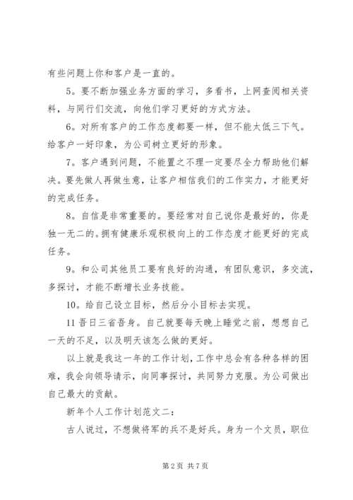 我的新年工作计划范文.docx