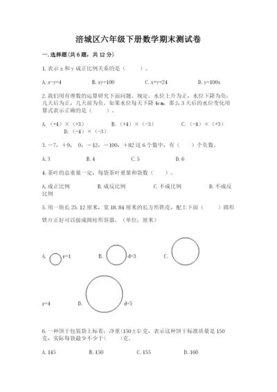 涪城区六年级下册数学期末测试卷及参考答案一套.docx
