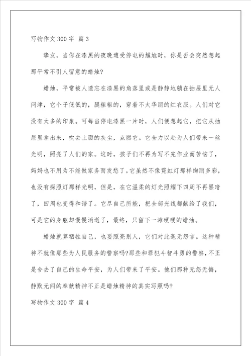 2022写物作文300字65