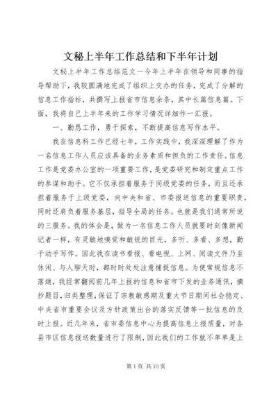 文秘上半年工作总结和下半年计划.docx