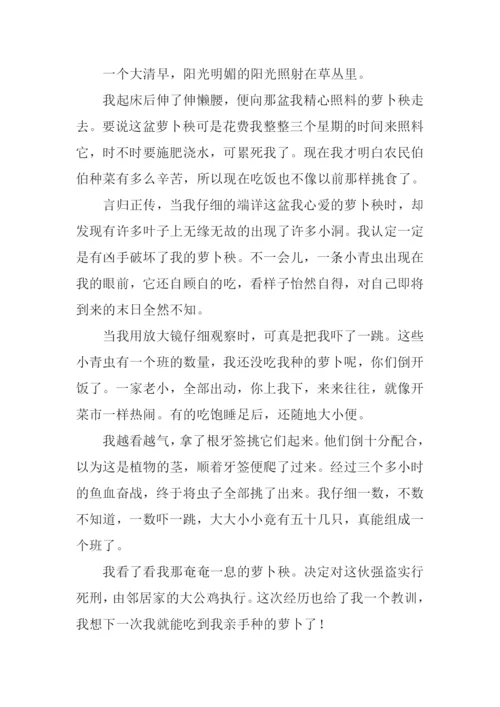 描写昆虫的作文500字.docx