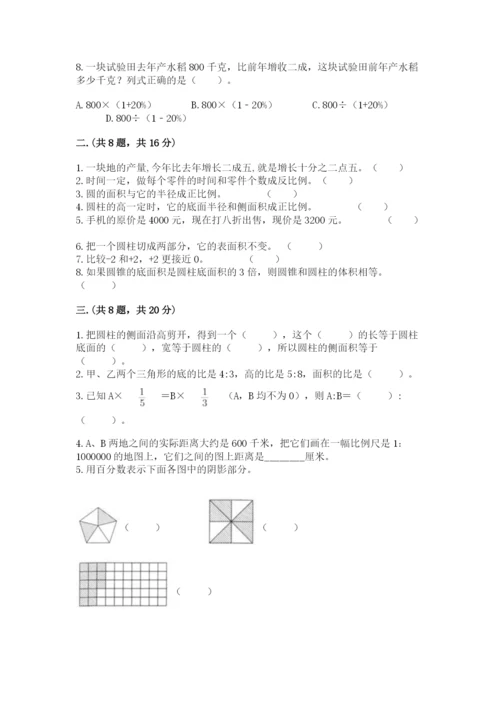 小学毕业班数学检测题【典优】.docx
