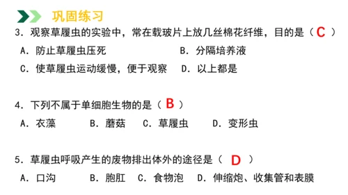 2.2.4 单细胞生物-2023-2024学年七年级生物上册优质教学课件（人教版）(共20张PPT)