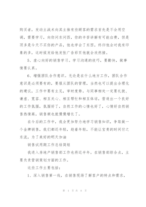 销售试用期工作总结简短.docx