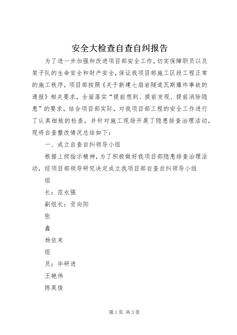 安全大检查自查自纠报告.docx