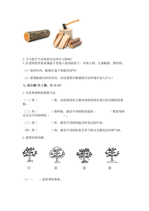 教科版二年级上册科学期末测试卷精品（必刷）.docx