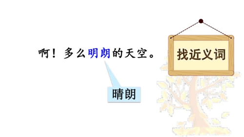 5 铺满金色巴掌的水泥道