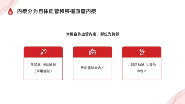 红色剪纸插画动静脉内瘘的护理培训PPT护理查房
