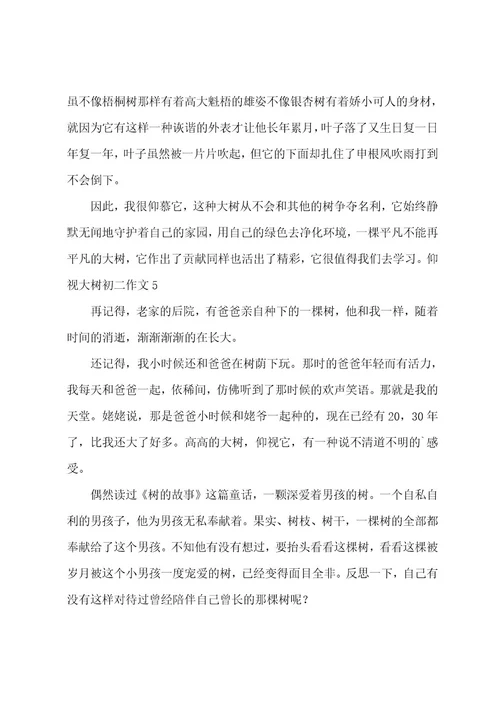 仰望大树初二作文