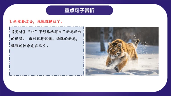 统编版2023-2024学年二年级语文上册单元复习第八单元（复习课件）