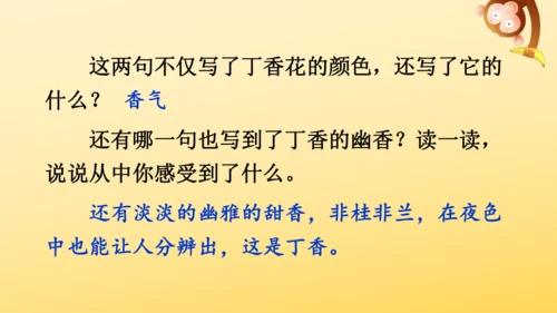 2 丁香结  课件