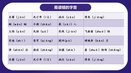 统编版四年级语文下学期期中核心考点集训第二单元（复习课件）