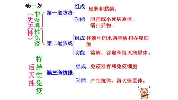 人教版生物八年级下册知识点总结