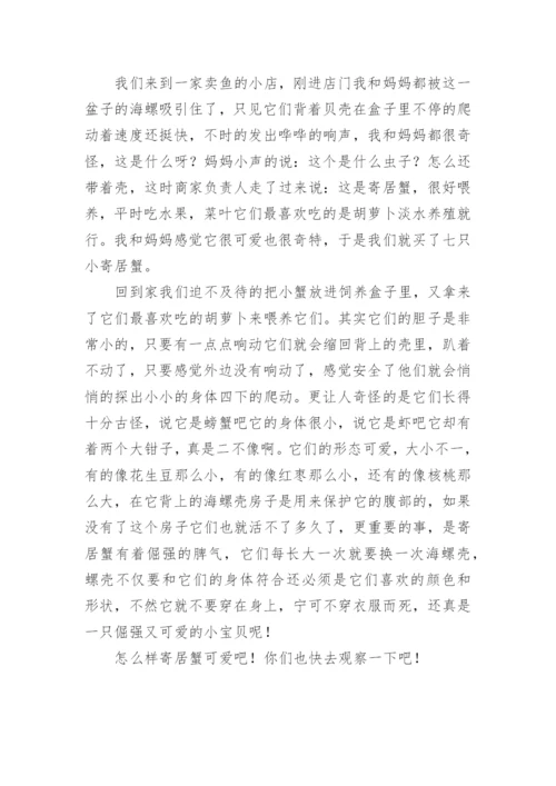 暑假趣事500字优秀作文.docx