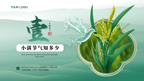 小满中国风教育教学通用模板PPT模板