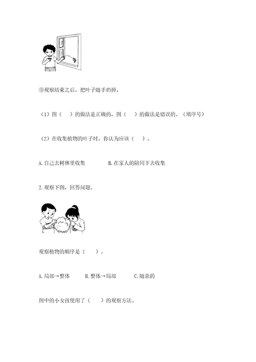 教科版科学一年级上册第一单元《植物》测试卷含答案（达标题）