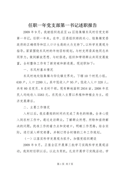 任职一年党支部第一书记述职报告.docx