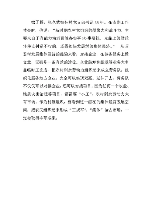 壮大集体经济富民调查报告