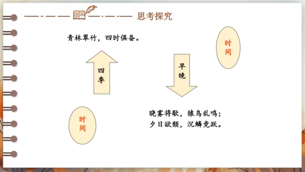 11 短文二篇 课件-2024-2025学年语文部编版八年级上册