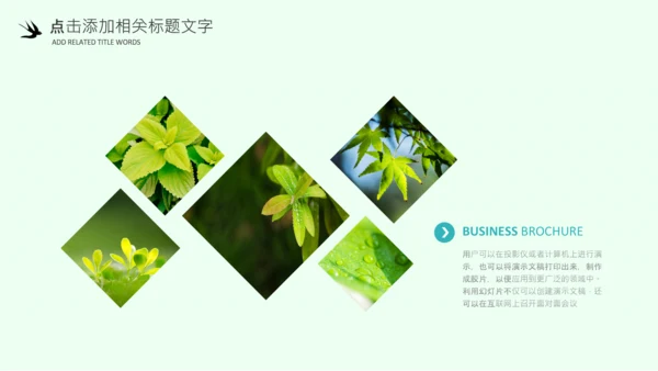 清明节气清新绿色清明节踏青PPT模板