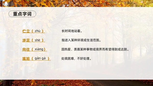 橙色简约实拍未选择的路PPT七年级语文下册PPT模板