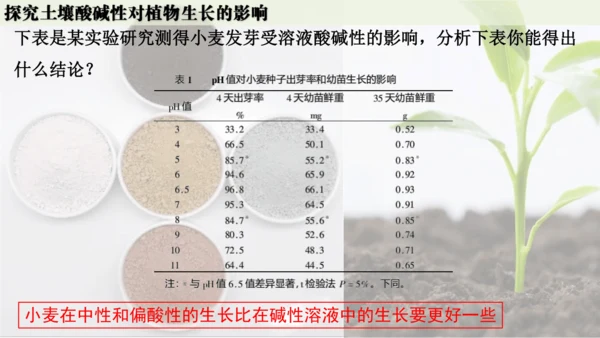 跨学科实践活动9  探究土壤酸碱性对植物生长的影响课件(共33张PPT)