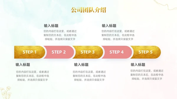 小清新风鎏金线条花卉美容医美行业招商项目汇报医美商业计划书