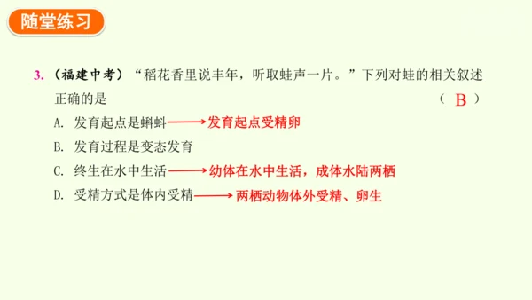 7.1.3两栖动物的生殖和发育-八年级生物人教版下学期同步精品课件(共31张PPT)