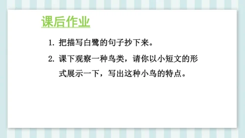 1《白鹭》课件