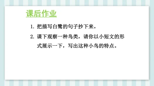 1《白鹭》课件