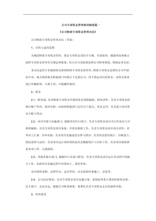 公司专项资金管理使用制度篇一.docx